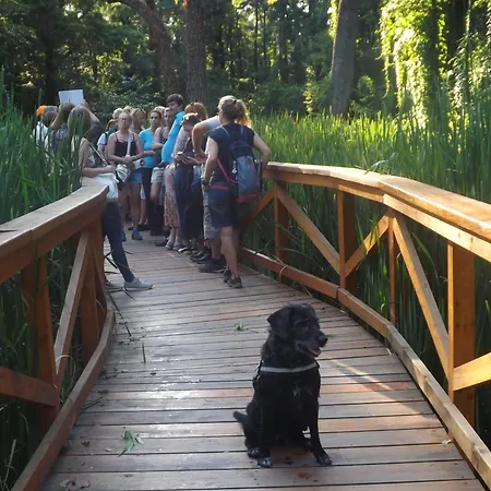 Διαμέρισμα Centrum Guide Hévíz